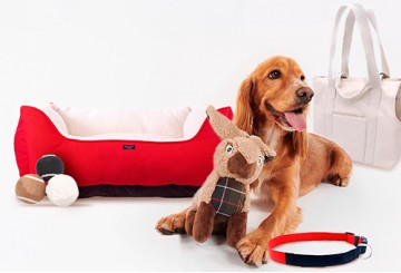 ACCESORIOS PARA MASCOTAS