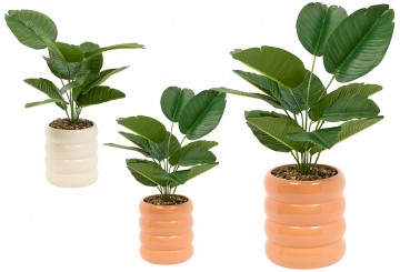 Planta Artificial 45cm con Maceta Cerámica ATMOSPHERA Strelitzia